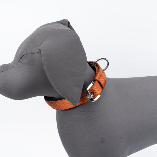 Kennel Padded Nylon Collar | Soft Comfort Everyday Dog Collar