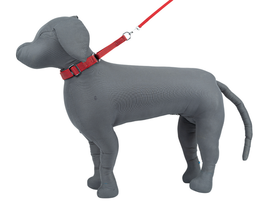 Kennel Premium Reflective Nylon Martingale Dog Collar – Adjustable Slip Collar for Training & Safety