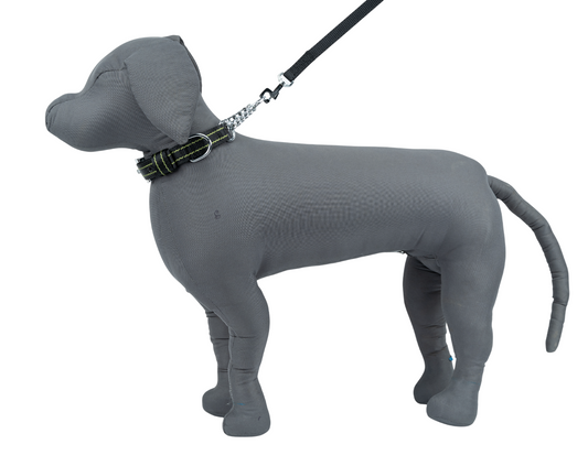 Kennel Pattern Nylon Chain Martingale Collar | Secure Adjustable Training Dog Collar