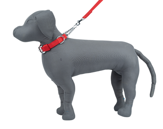 Kennel Nylon Chain Martingale Collar | Adjustable Nylon & Chain Training Collar