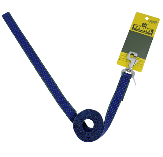 Kennel Nylon Dotzy Dog Leash 48 Inch – Blue & Green Durable Lead for Daily Walks