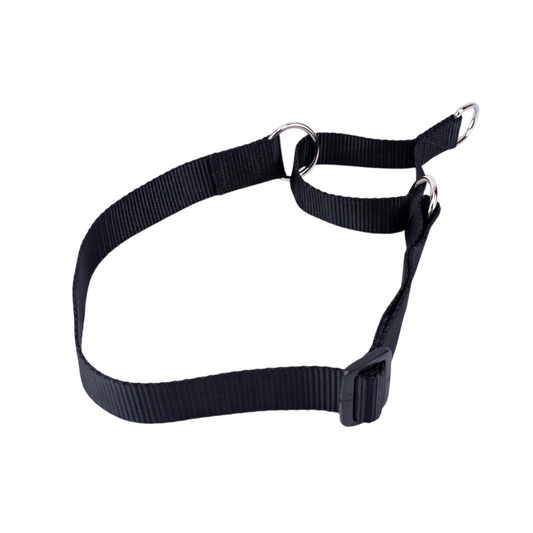 Kennel Nylon Martingale Collar for Dogs – No-Slip Training & Control Collar