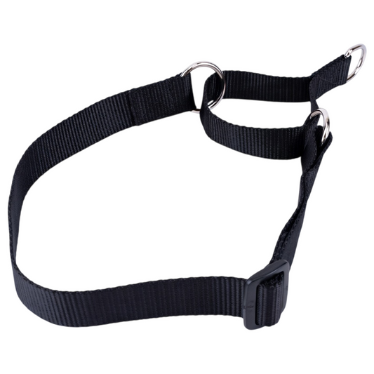 Kennel Nylon Martingale Dog Collar – No-Slip Training Collar