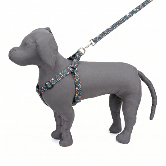 Green Bones Printed Padded Click Lock Adjustable Harness