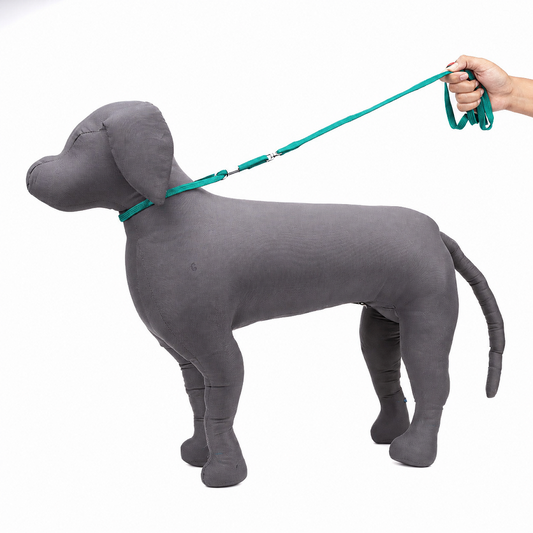 Kennel Tubular Nylon Show Leash – Lightweight Training & Handling Lead