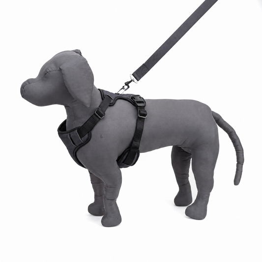 Kennel Full Body Harness | Adjustable No-Pull Harness | Soft, Lightweight & Comfortable