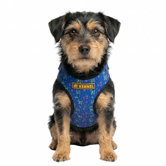 Kennel Blue Bash Printed Step-In Harness | Adjustable No-Pull Dog Harness | Easy to Wear