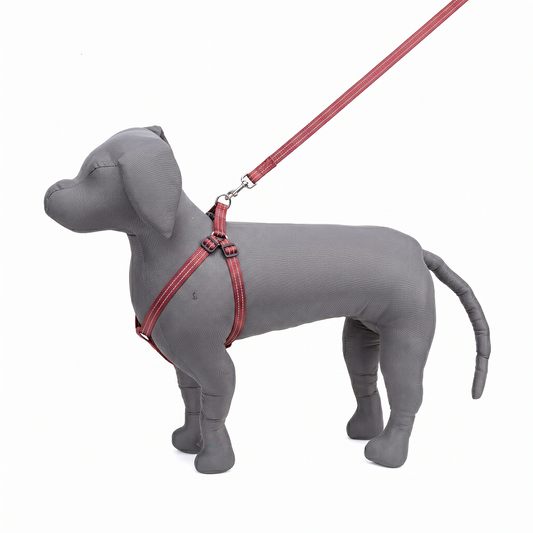 Kennel Nylon Pattern Adjustable Dog Harness