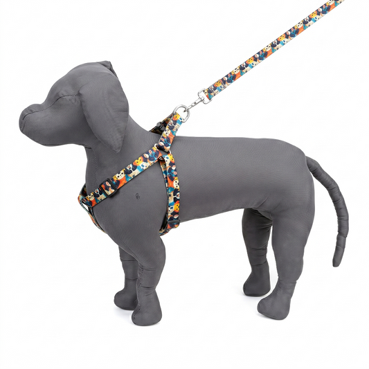 Multi Face Bright Printed Padded Click Lock Adjustable Harness