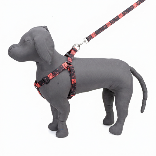 Kennel Printed Padded Adjustable Dog Harness