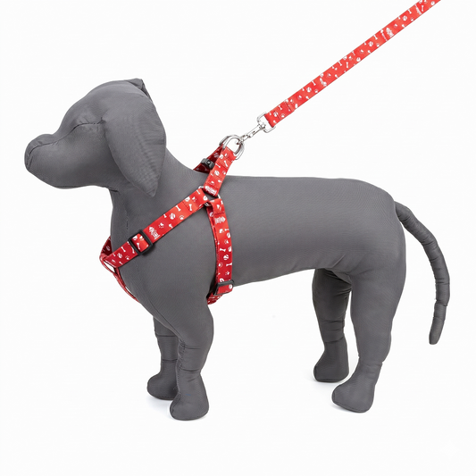 Red Bones Printed Padded Click Lock Adjustable Harness