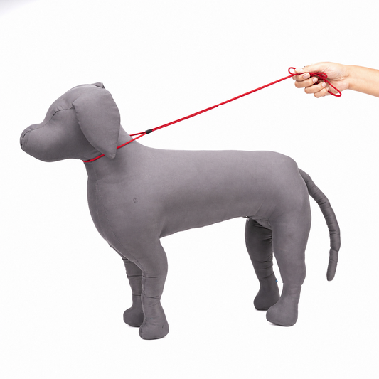 Kennel Nylon Show Leash Cord – Lightweight Professional Show Lead for Dogs