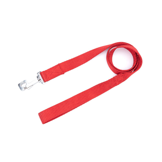 Kennel Premium Nylon Leash | Durable Everyday Dog Leash