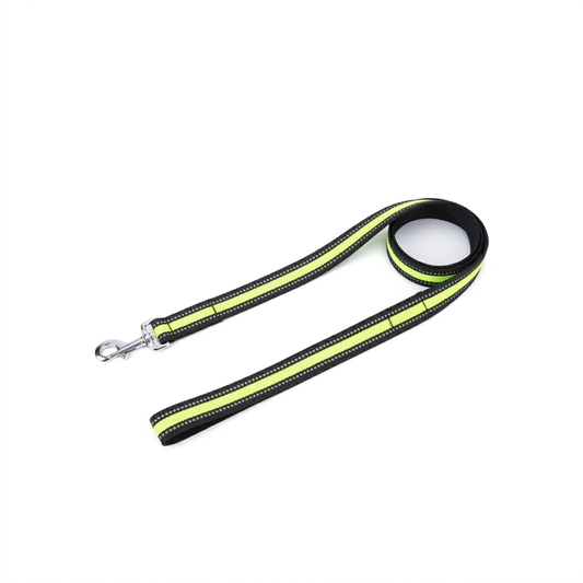 Kennel Reflective Nylon Dog Leash – Lightweight Lead