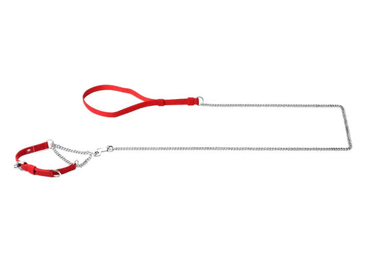 Kennel Furlon Chain Martingale Set No.4 (2 mm) | Strong & Comfortable Dog Collar and Leash Combo