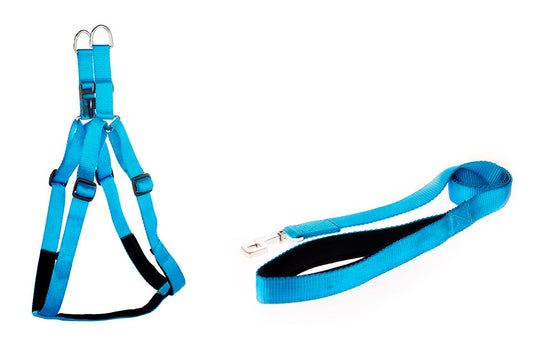 Kennel Premium Padded Soft Nylon Adjustable Dog Harness & Leash Set – Comfort Fit (3/4")