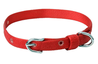 Kennel Furlon Mini Collar – Soft & Durable Puppy Collar