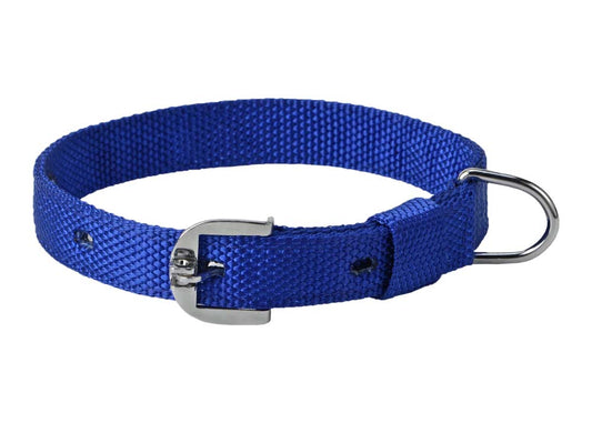 Kennel Premium Nylon Collar (1") | Strong, Adjustable Everyday Dog Collar