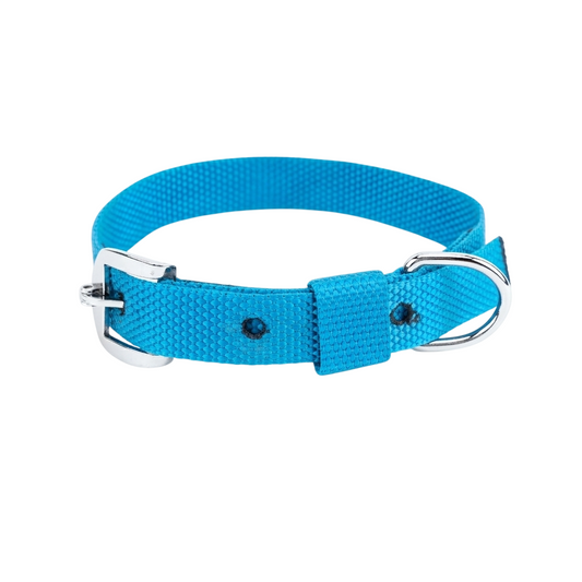 Kennel Nylon Half Collar - Everyday Dog Collar