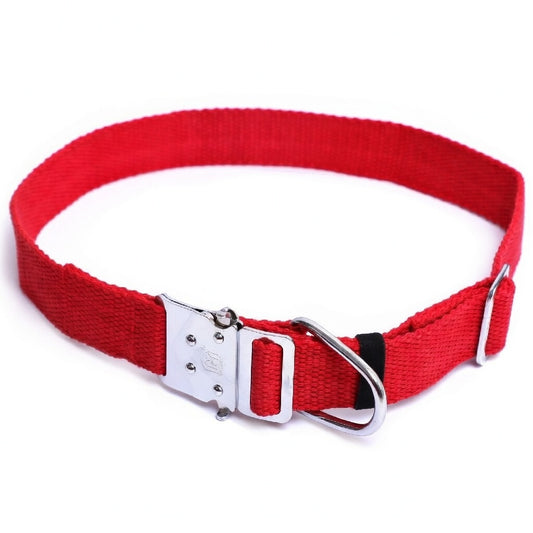 Kennel Cotton Adjustable M.S. Click Lock Dog Collar | Heavy-Duty Cotton Pet Collar with Metal Buckle
