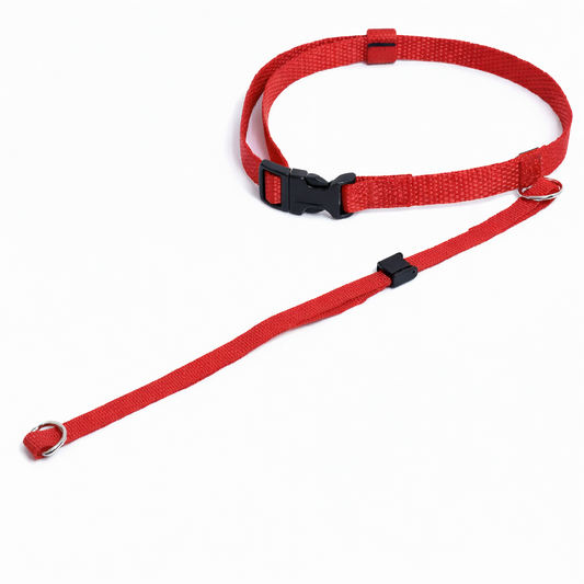 Kennel Nylon Head Collar – Adjustable & Comfortable Control Headcollar for Dogs