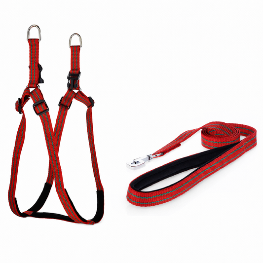 Kennel Padded Nylon Pattern Adjustable Harness & Leash Set – Comfort-Fit Walking Set for Dogs