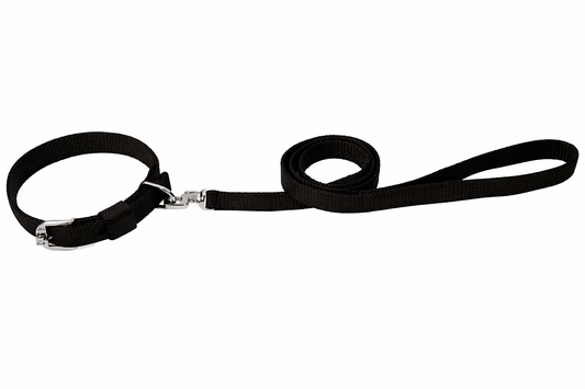 Kennel Premium Nylon Collar & Leash Set – Durable & Comfortable Walking Set for Dogs