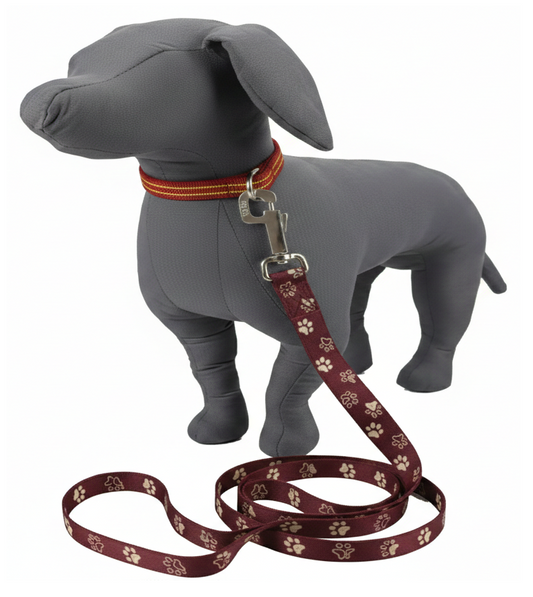 Kennel Purple Paws Print Nylon Dog Leash