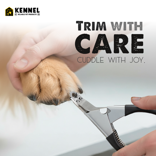 Kennel Nail Trimmer for Dogs & Cats – Safe and Easy Grooming Tool